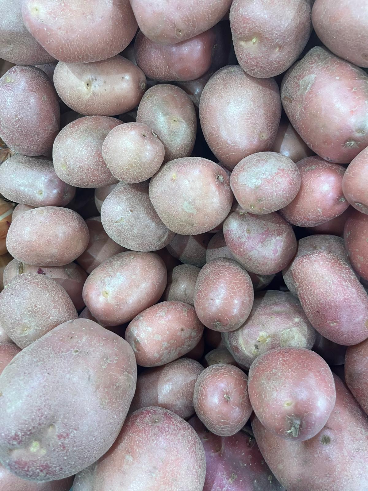 WhatsApp Image 2026-01-01 at 17.56.54 (2)