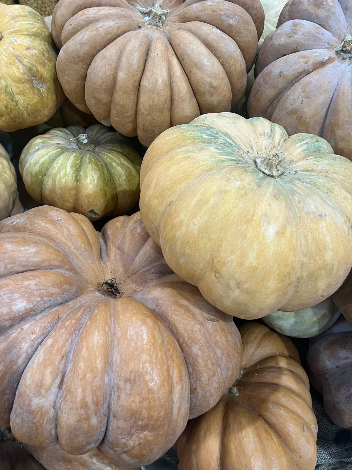 WhatsApp Image 2026-01-01 at 17.56.54 (3)