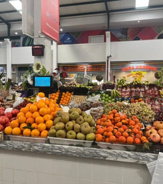 WhatsApp Image 2026-01-01 at 19.09.05