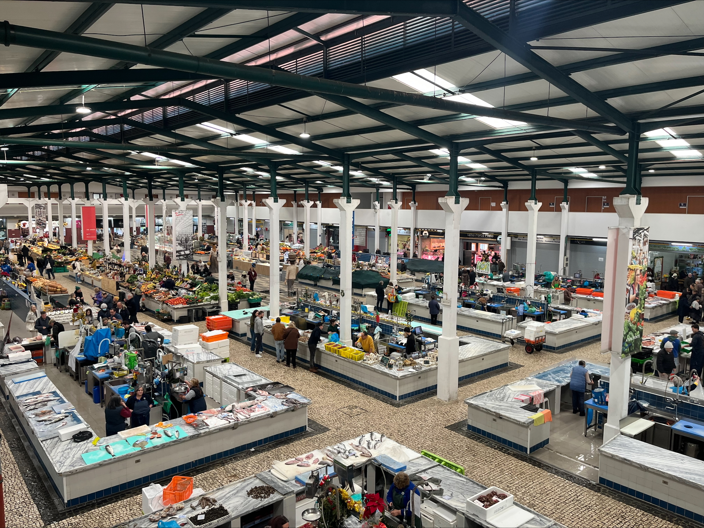 processed-E4B5FD7D-955D-45F2-9331-E7A766D5C1A2 processed-E4B5FD7D-955D-45F2-9331-E7A766D5C1A2